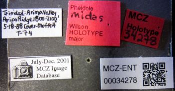 Media type: image;   Entomology 34278 Aspect: labels